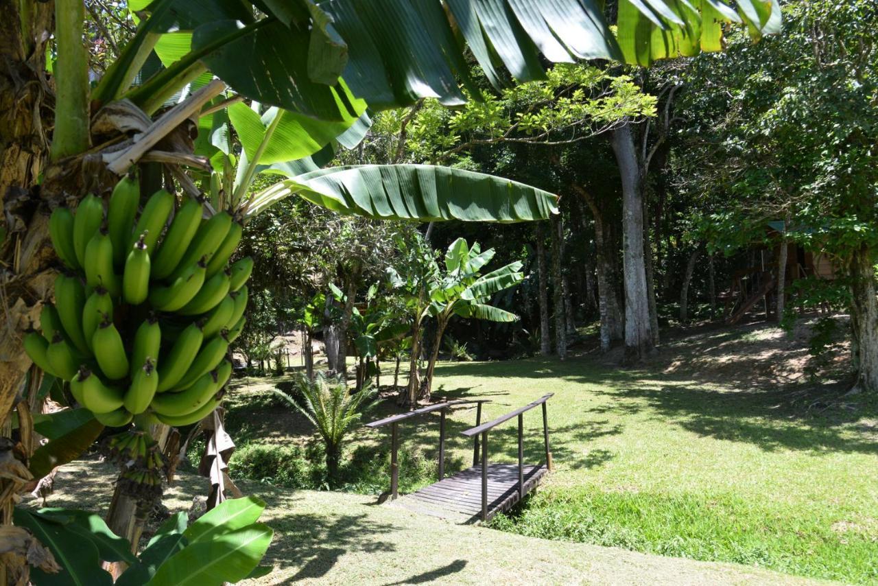 Pousada Sitio Olho D'Agua Hotel Bombinhas Exterior photo